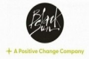 Black Sun Global